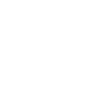 Plena Inclusión Madrid